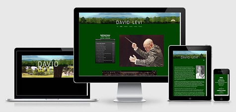 David Levi | Conductor