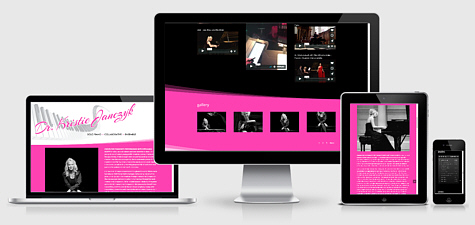 Steel and Ivory Music | Classical Duo